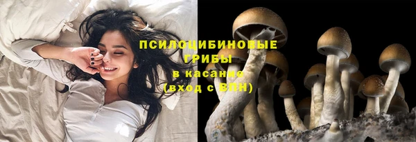 молекула духа Нефтекумск
