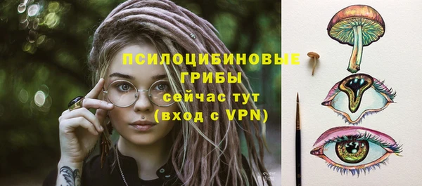 молекула духа Нефтекумск