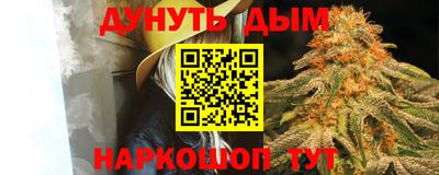 дурь Камышлов