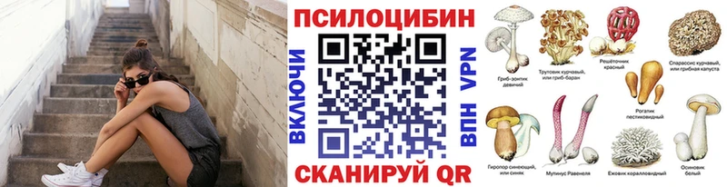 Псилоцибиновые грибы Cubensis  Киржач 