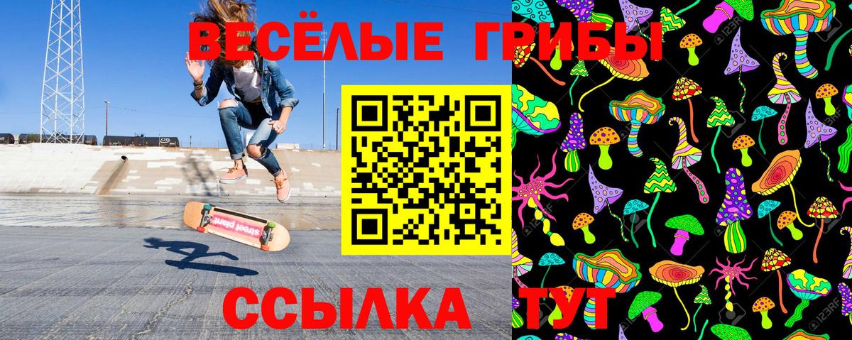 Галлюциногенные грибы Psilocybe  Вход с VPN  Киржач  Галлюциногенные грибы Psilocybe 