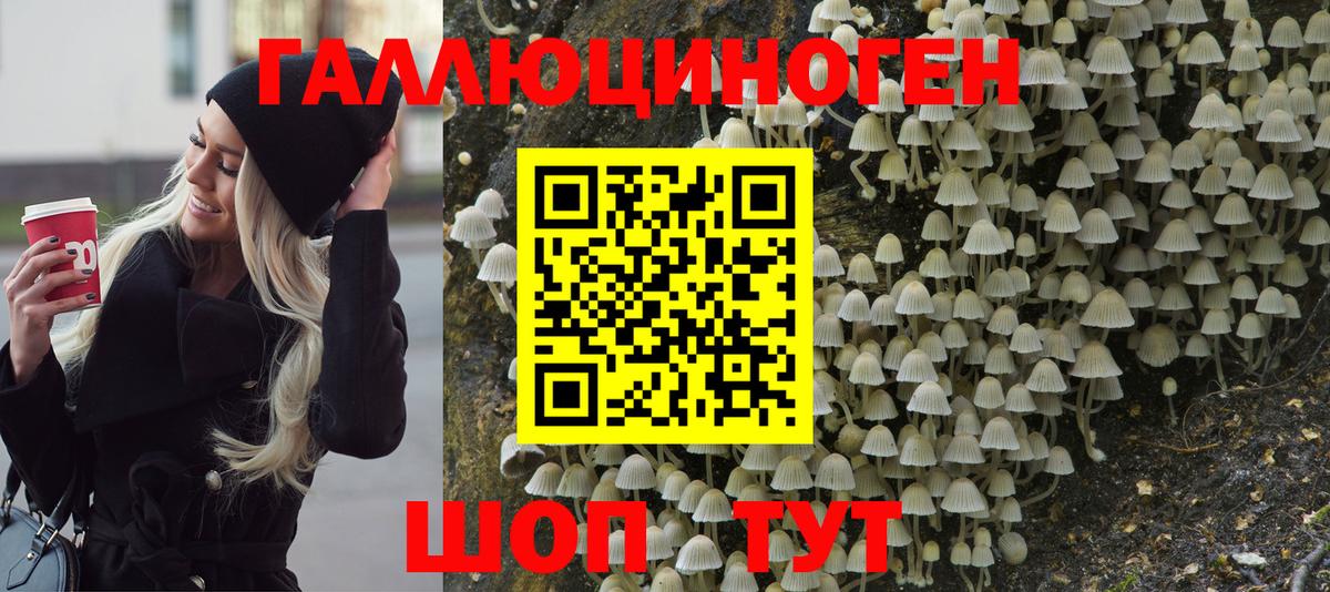 Галлюциногенные грибы Psilocybe Киржач