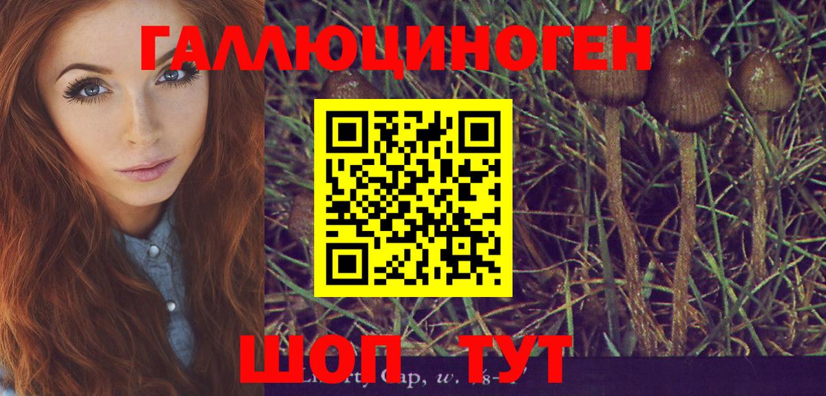 Псилоцибиновые грибы MAGIC MUSHROOMS Киржач